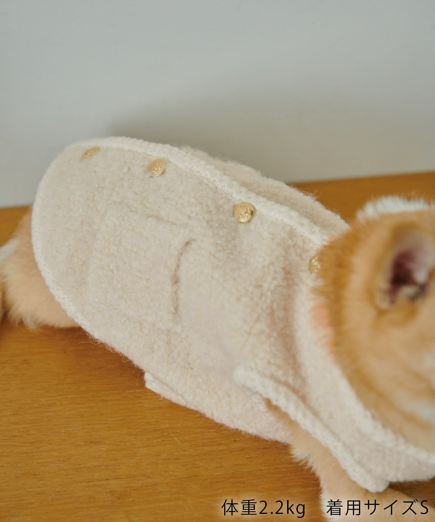 ROPE PICNIC PASSAGE「【DOG】ループ編みゴールドボタンニットベスト/リンクコーデ」|その他|