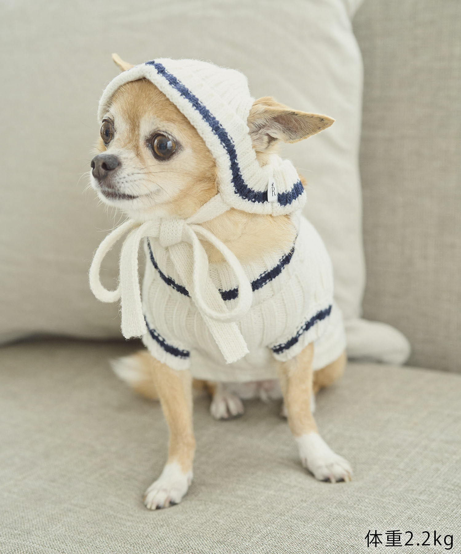 ROPE PICNIC PASSAGE「【DOG】リブ切り替えニットワッチ」|その他|