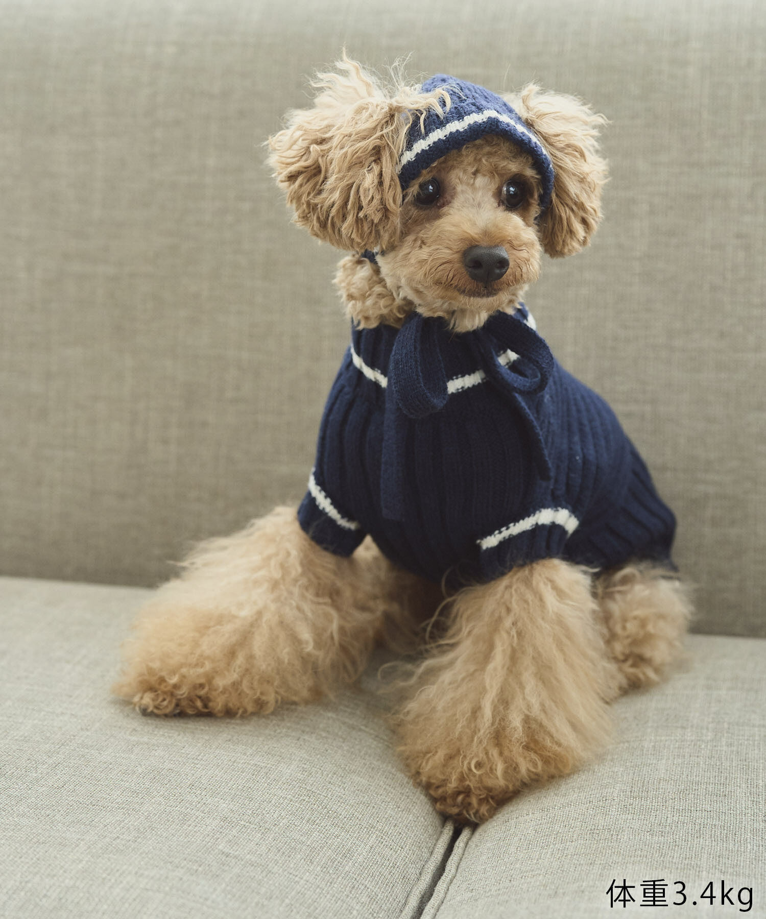 ROPE PICNIC PASSAGE「【DOG】リブ切り替えニットワッチ」|その他|