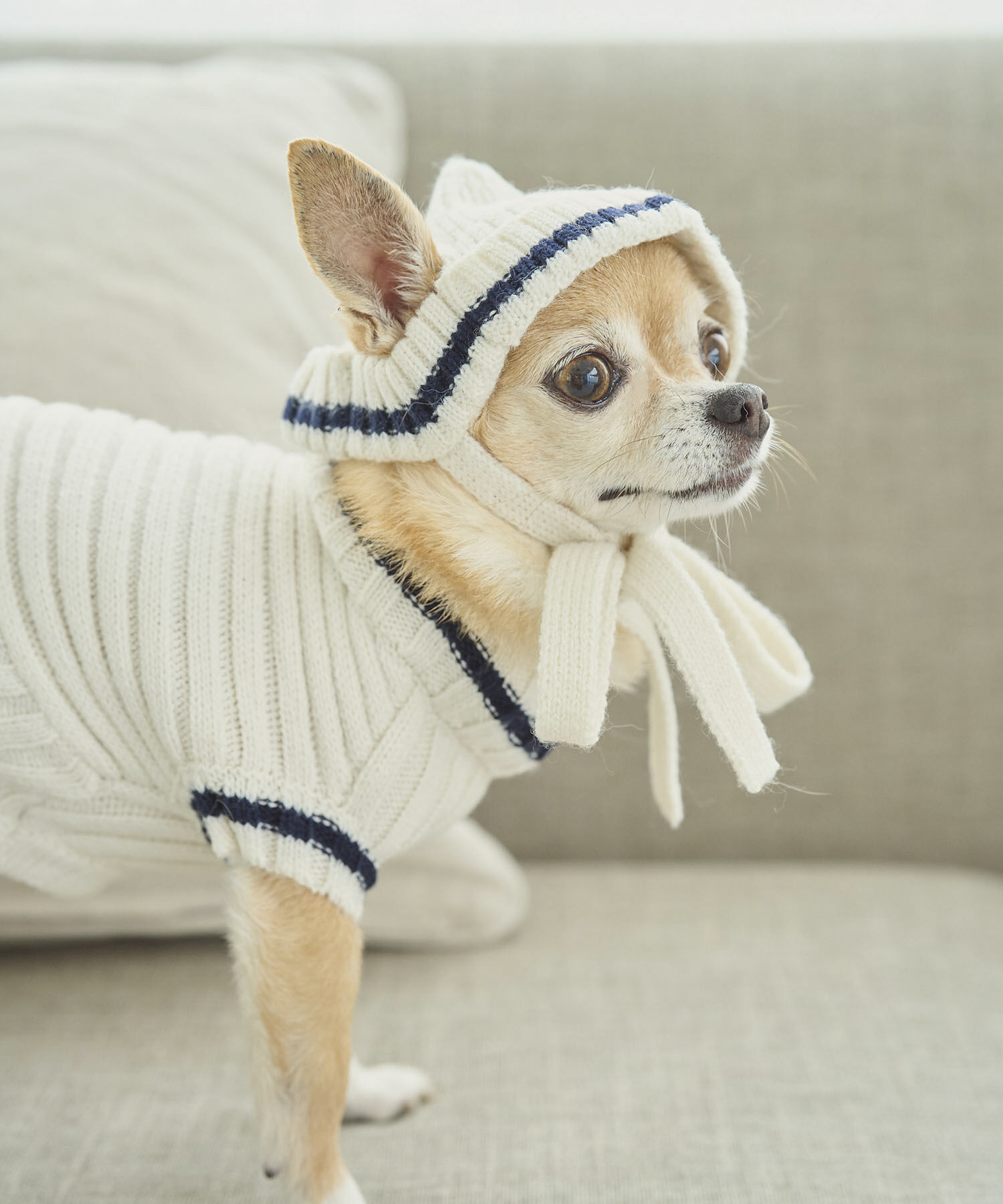 ROPE PICNIC PASSAGE「【DOG】リブ切り替えニットワッチ」|その他|