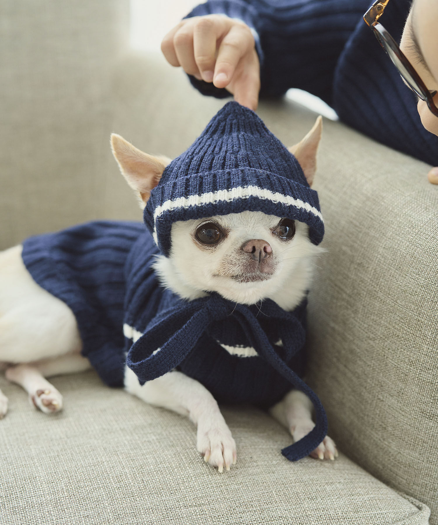 ROPE PICNIC PASSAGE「【DOG】リブ切り替えニットワッチ」|その他|ネイビー系(41)