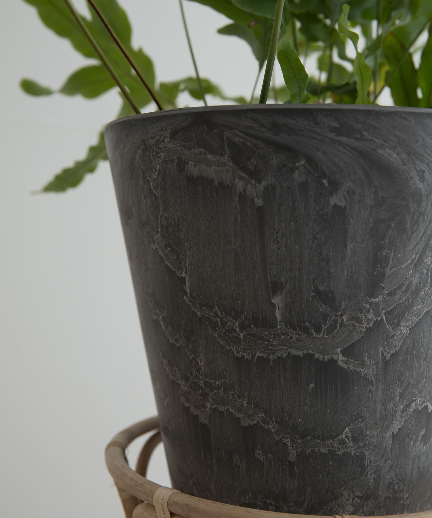 URBAN RESEARCH DOORS「『WEB限定』amabro　ART STONE M」|フィギュア・ホビー|