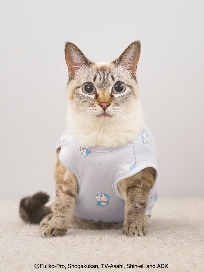  GELATO PIQUE CAT&DOG「【ドラえもん】【CAT&DOG】総柄プルオーバー」|その他|