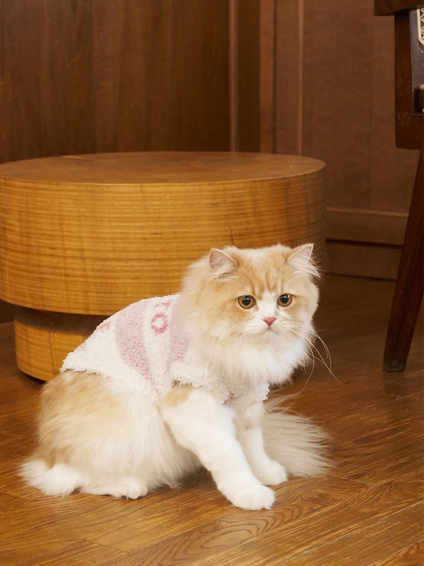  GELATO PIQUE CAT&DOG「【CAT&DOG】ジェラートメランジ2ボーダープルオーバー」|その他|