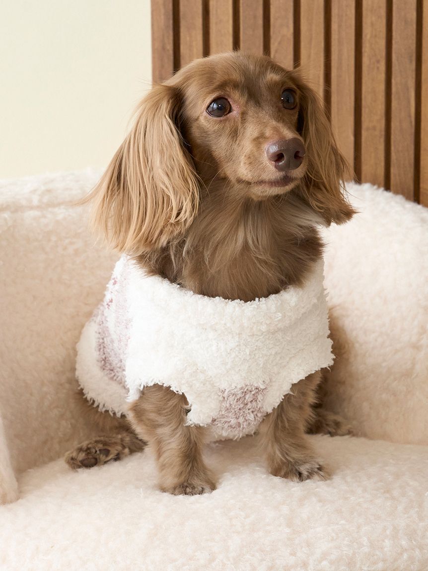  GELATO PIQUE CAT&DOG「【CAT&DOG】ジェラートメランジ2ボーダープルオーバー」|その他|