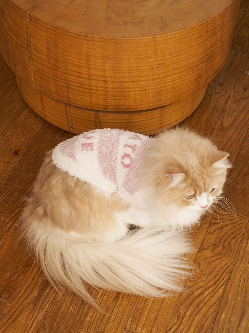  GELATO PIQUE CAT&DOG「【CAT&DOG】ジェラートメランジ2ボーダープルオーバー」|その他|