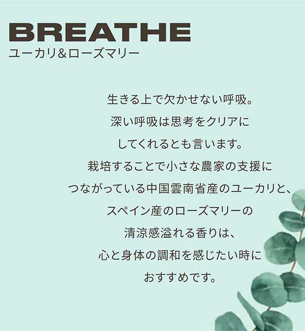 THE BODY SHOP「ウェルネス ブレンドオイル EU&RO 20mL（香り：ユーカリ＆ローズマリー）」|香水・フレグランス|