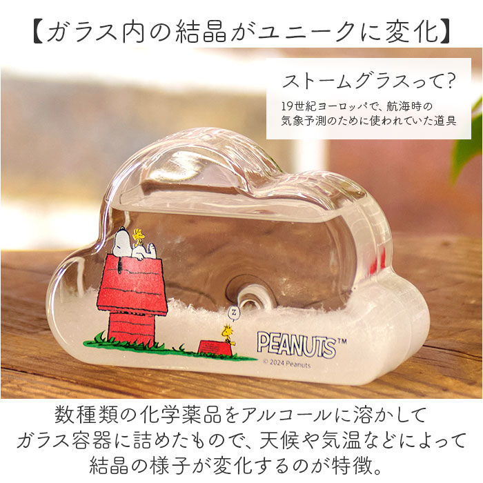 BACKYARD FAMILY「茶谷産業 ストームグラス キャラクター 通販 サイエンスオブジェ サイエンス雑貨 置物 置き物」|その他|