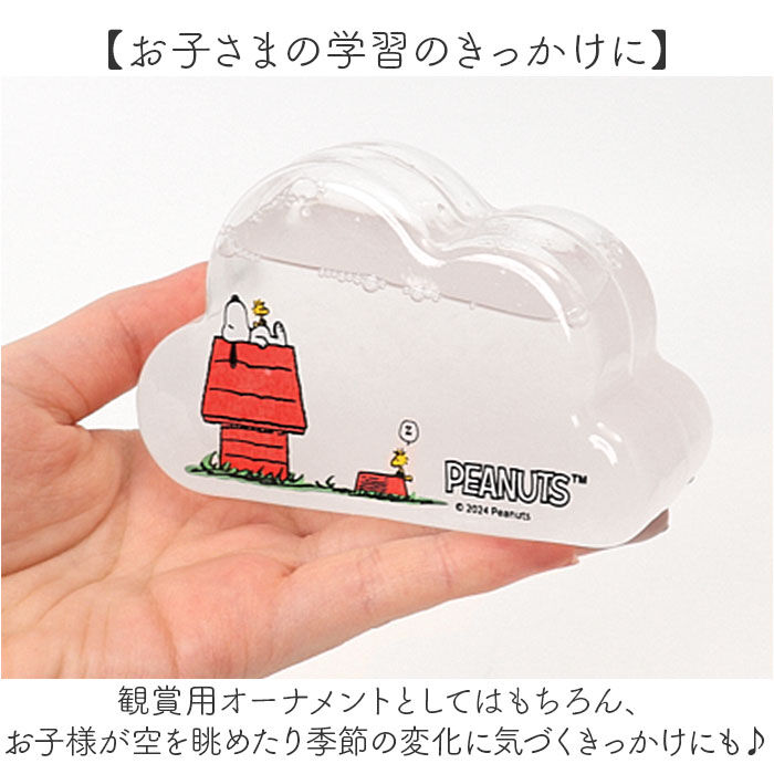 BACKYARD FAMILY「茶谷産業 ストームグラス キャラクター 通販 サイエンスオブジェ サイエンス雑貨 置物 置き物」|その他|