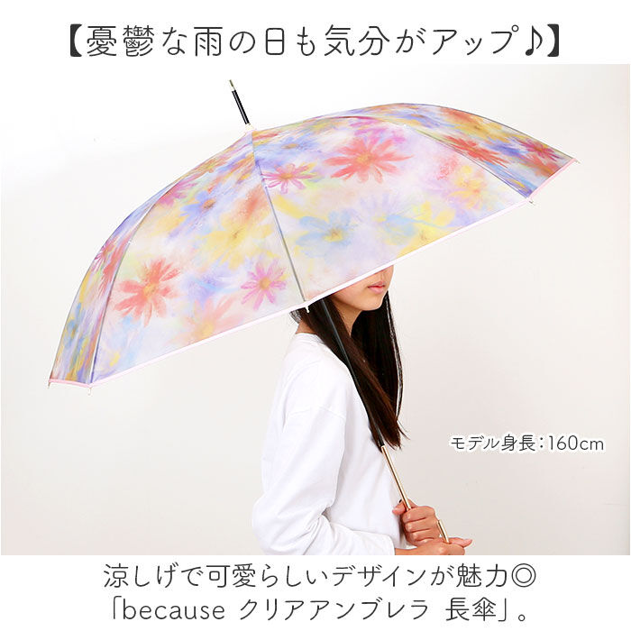 BACKYARD FAMILY「because ビニール傘 ビコーズ B-551214 通販 長傘 ジャンプ傘 傘 雨傘 かさ」|傘|