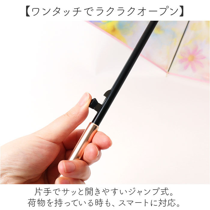 BACKYARD FAMILY「because ビニール傘 ビコーズ B-551214 通販 長傘 ジャンプ傘 傘 雨傘 かさ」|傘|