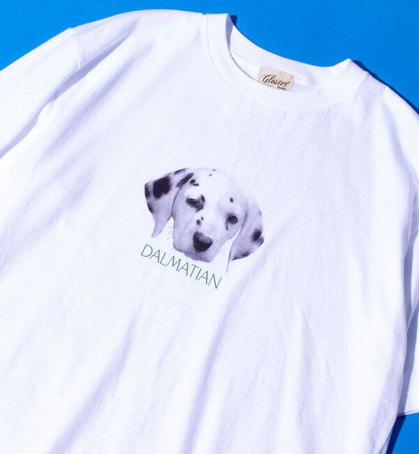 GLOSTER「【新柄追加】【GLOSTER/グロスター】DOG&CAT 犬猫プリントTシャツ」|Tシャツ・カットソー|ホワイト系その他6