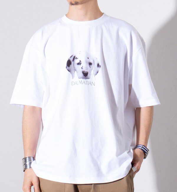 GLOSTER「【新柄追加】【GLOSTER/グロスター】DOG&CAT 犬猫プリントTシャツ」|Tシャツ・カットソー|