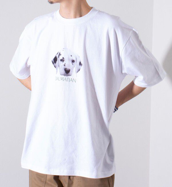 GLOSTER「【新柄追加】【GLOSTER/グロスター】DOG&CAT 犬猫プリントTシャツ」|Tシャツ・カットソー|
