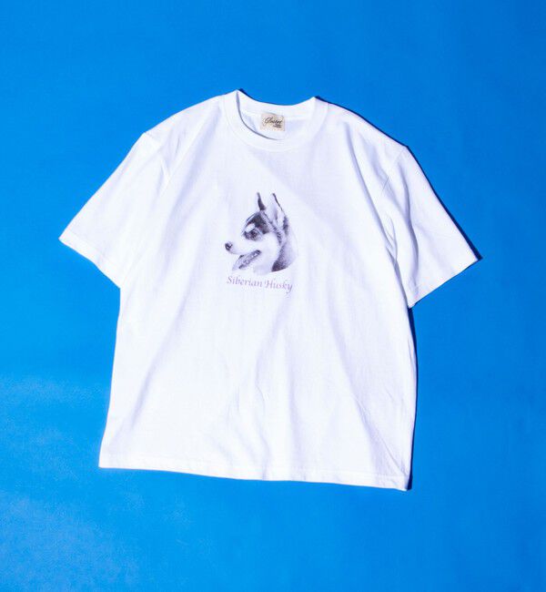 GLOSTER「【新柄追加】【GLOSTER/グロスター】DOG&CAT 犬猫プリントTシャツ」|Tシャツ・カットソー|