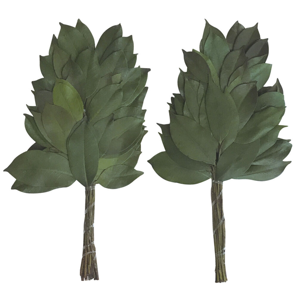 BACKYARD FAMILY「プリザーブド 榊 通販 32cm 一対 プリザーブド榊 さかき サカキ 2本 枯れない 水やり不要」|その他|グリーン1