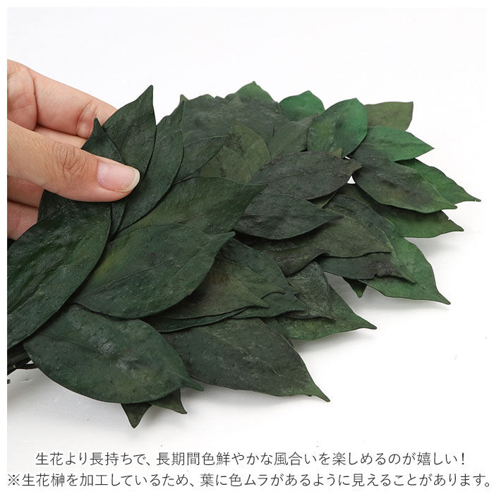 BACKYARD FAMILY「プリザーブド 榊 通販 32cm 一対 プリザーブド榊 さかき サカキ 2本 枯れない 水やり不要」|その他|