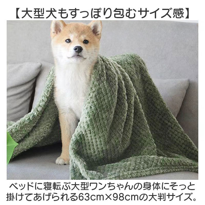 BACKYARD FAMILY「ペット ブランケット 通販 ペット毛布 毛布 犬毛布 猫毛布 暖かい ペットマット 無地 シンプル」|その他|