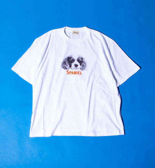 GLOSTER「【新柄追加】【GLOSTER/グロスター】DOG&CAT 犬猫プリントTシャツ」|Tシャツ・カットソー|