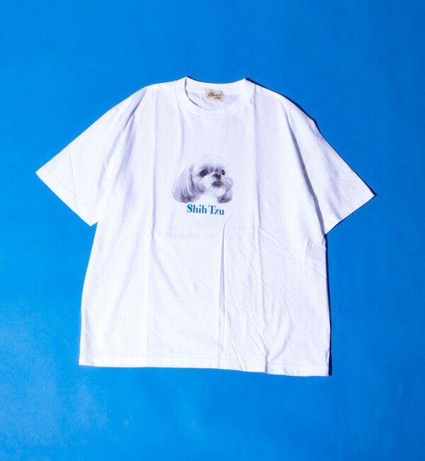 GLOSTER「【新柄追加】【GLOSTER/グロスター】DOG&CAT 犬猫プリントTシャツ」|Tシャツ・カットソー|