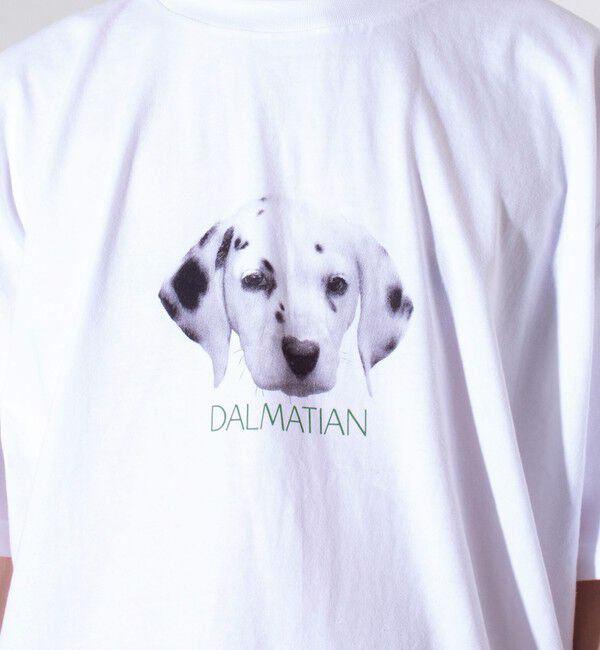 GLOSTER「【新柄追加】【GLOSTER/グロスター】DOG&CAT 犬猫プリントTシャツ」|Tシャツ・カットソー|