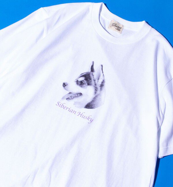 GLOSTER「【新柄追加】【GLOSTER/グロスター】DOG&CAT 犬猫プリントTシャツ」|Tシャツ・カットソー|ホワイト系その他7