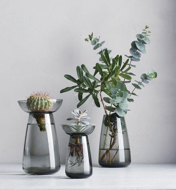 collex「【KINTO /キントー】アクアカルチャーベース80」|フラワーベース|