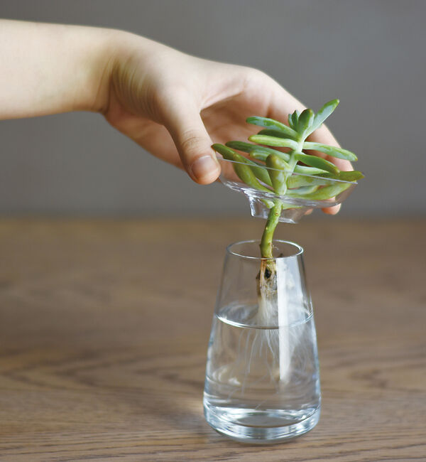 collex「【KINTO /キントー】アクアカルチャーベース80」|フラワーベース|