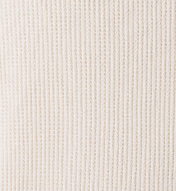 ABAHOUSE「【FRUIT OF THE LOOM/フルーツオブザルーム】FTL サーマルフー」|パーカー|