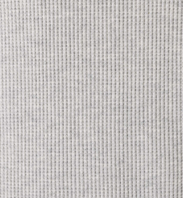 ABAHOUSE「【FRUIT OF THE LOOM/フルーツオブザルーム】FTL サーマルフー」|パーカー|