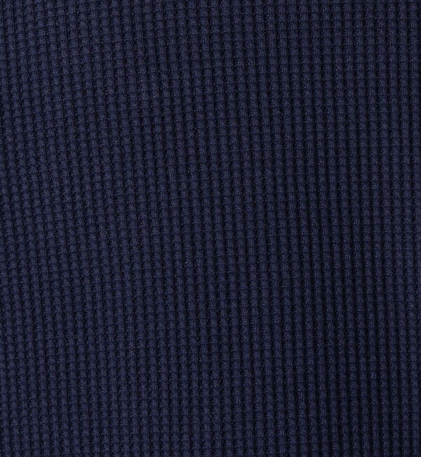 ABAHOUSE「【FRUIT OF THE LOOM/フルーツオブザルーム】FTL サーマルフー」|パーカー|