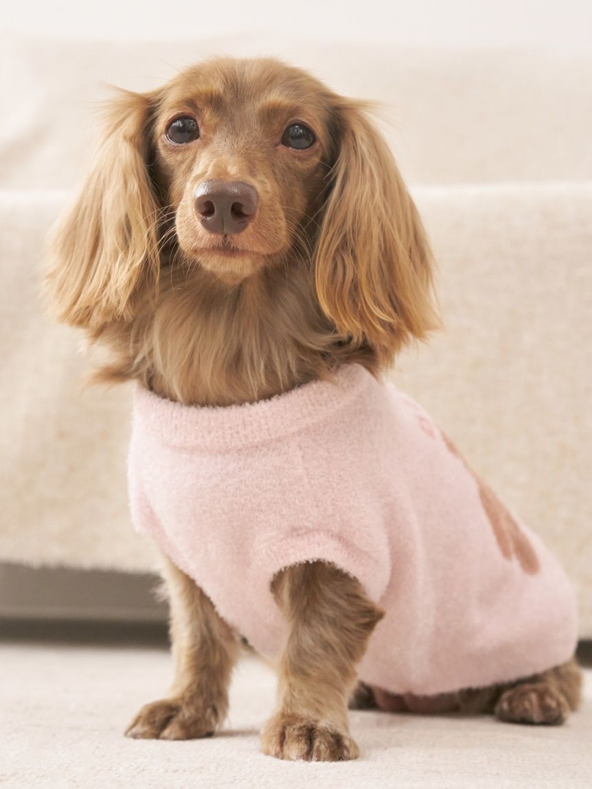  GELATO PIQUE CAT&DOG「【CAT&DOG】ベアジャガードプルオーバー」|その他|