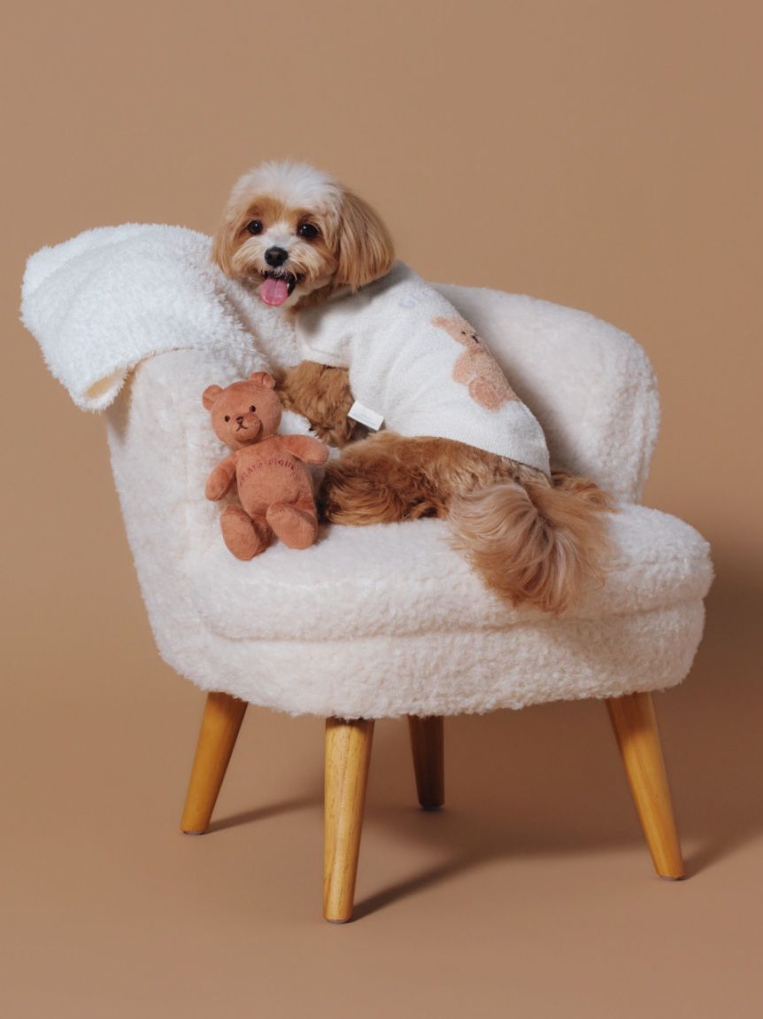  GELATO PIQUE CAT&DOG「【CAT&DOG】ベアジャガードプルオーバー」|その他|