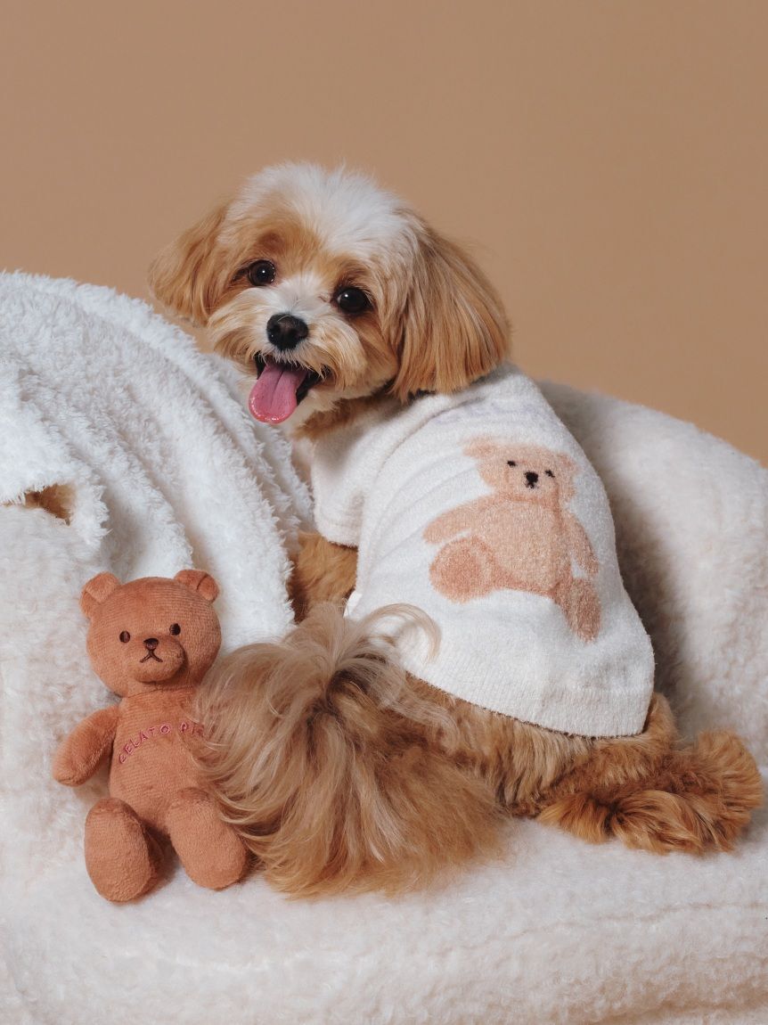  GELATO PIQUE CAT&DOG「【CAT&DOG】ベアジャガードプルオーバー」|その他|