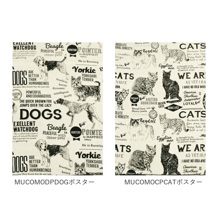 BACKYARD FAMILY「マルチカバー ソファー 夏 通販 おしゃれ ベッドカバー ソファカバー 目隠し カーテン」|その他|