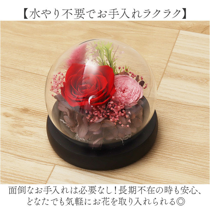 BACKYARD FAMILY「ブリザードフラワ- 通販 フラワーギフト ガラス製 フラワーアレンジメント ガラスドーム お花 花」|その他|