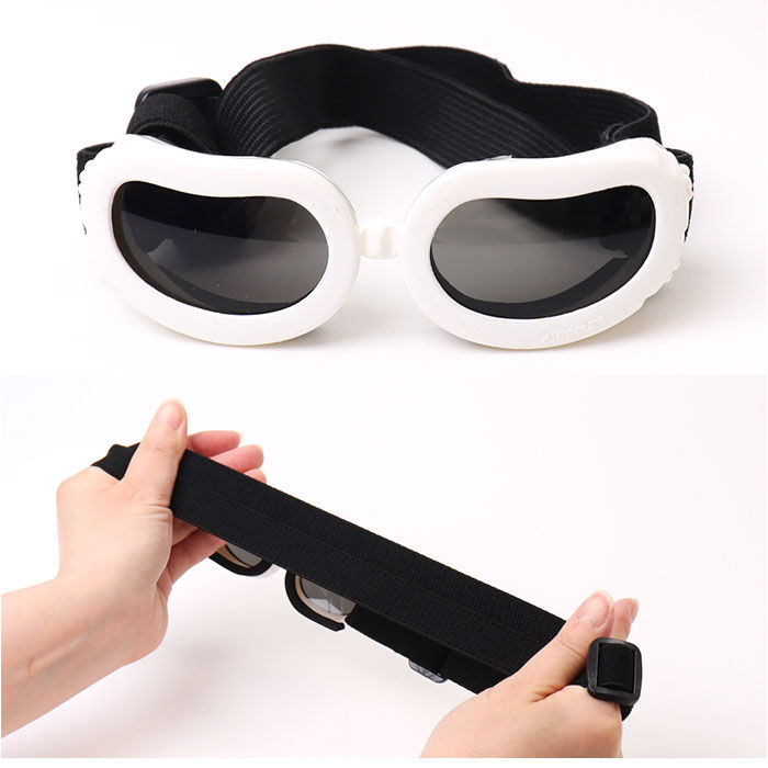 BACKYARD FAMILY「犬 ゴーグル 通販 ドッグゴーグル ペットゴーグル ペット眼鏡 サングラス 車酔い対策 目の保護」|その他|