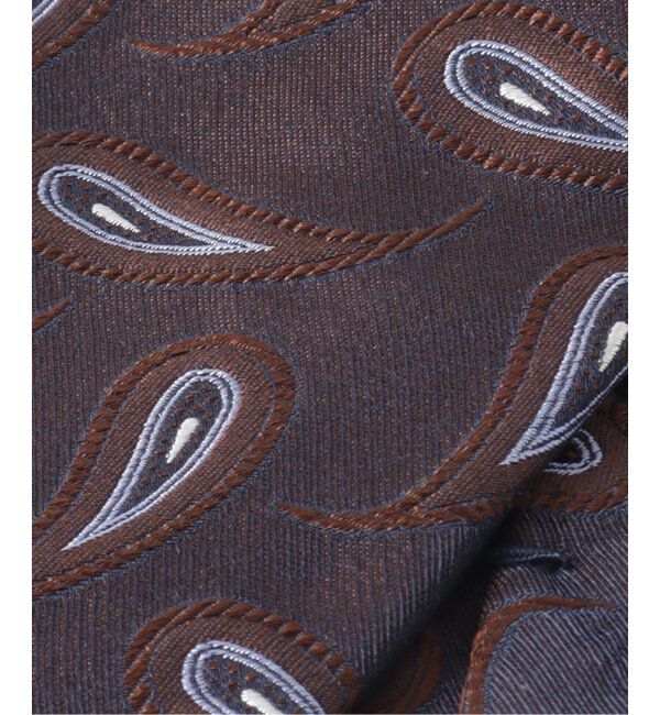 EDIFICE「PB シックペイズリータイ」|ネクタイ・蝶ネクタイ|