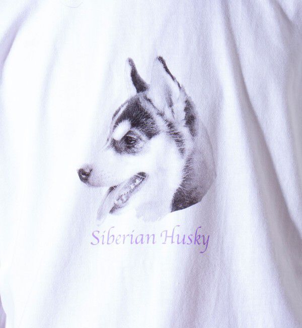 GLOSTER「【新柄追加】【GLOSTER/グロスター】DOG&CAT 犬猫プリントTシャツ」|Tシャツ・カットソー|