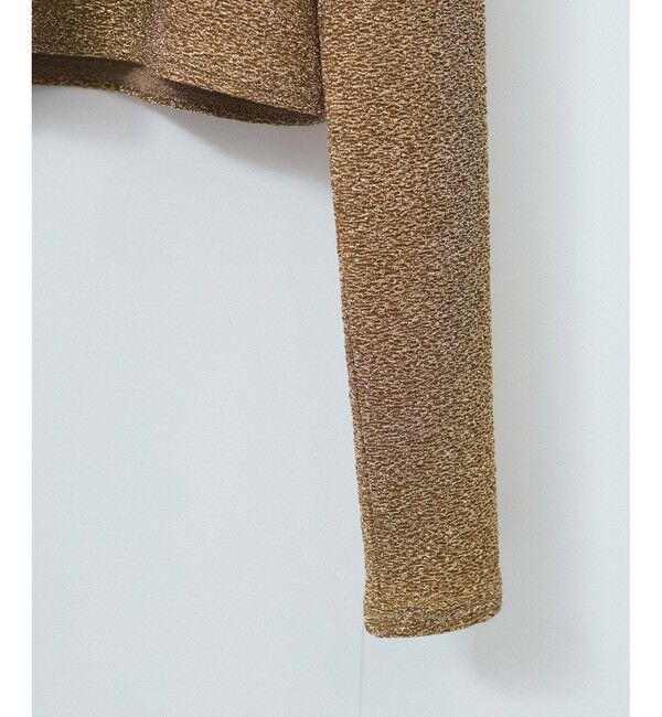 SALON adam et rope'「シャイニージャカードクロップドプルオーバー」|Tシャツ・カットソー|