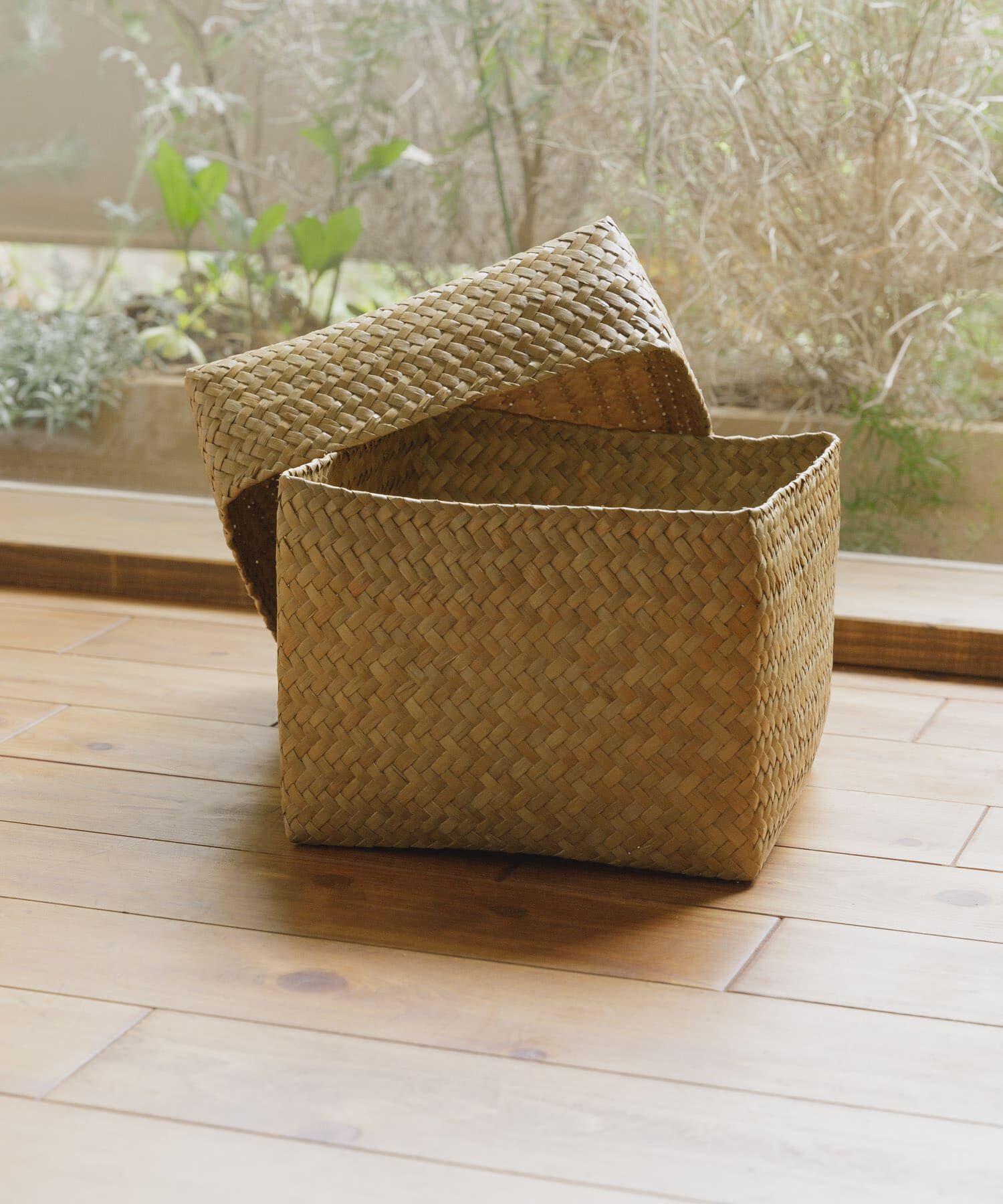 URBAN RESEARCH DOORS「『WEB限定』サイアム　カチュー水草ふた付き四角BOX L」|その他|その他1