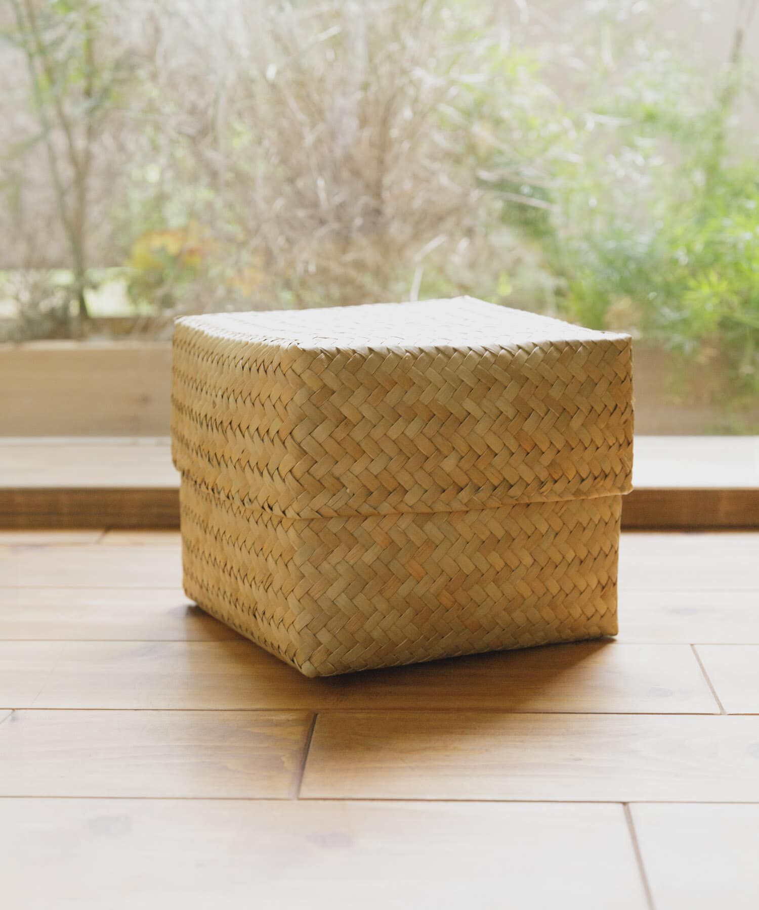 URBAN RESEARCH DOORS「『WEB限定』サイアム　カチュー水草ふた付き四角BOX L」|その他|