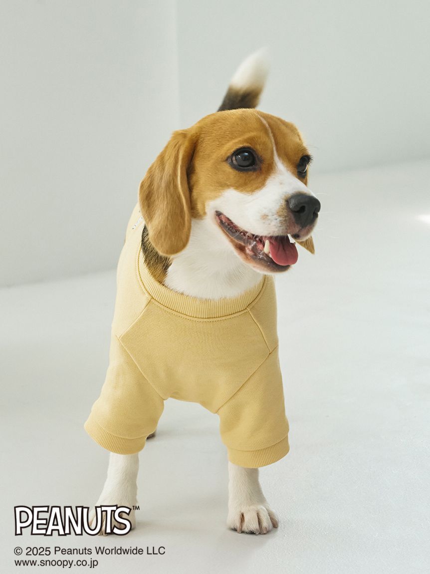  GELATO PIQUE CAT&DOG「【PEANUTS】【CAT&DOG】ラージサイズ オリジナルアート 裏毛プルオーバー」|その他|