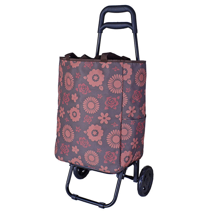 BACKYARD FAMILY「ショッピングカート おしゃれ 通販 ショッピングキャリーカート お買い物キャリー カート」|キャリーケース|