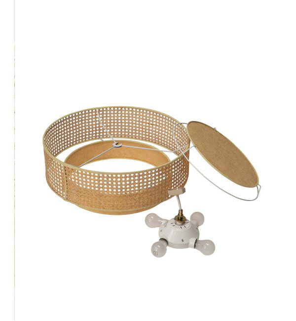 journal standard Furniture「DAFNE CEILING LAMP ダフネ シーリングランプ」|その他|