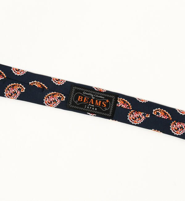 BEAMS PLUS「BEAMS PLUS / シルク ペイズリー プリント タイ」|ネクタイ・蝶ネクタイ|