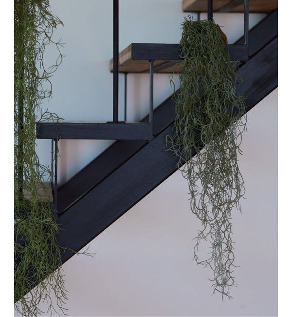 journal standard Furniture「【Brown./ブラウン】スパニッシュモス ハンギングブッシュ グリーン 77」|その他|