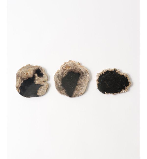 journal standard Furniture「PETRIFIED WOOD PLATE ウッドプレートS」|香水・フレグランス|