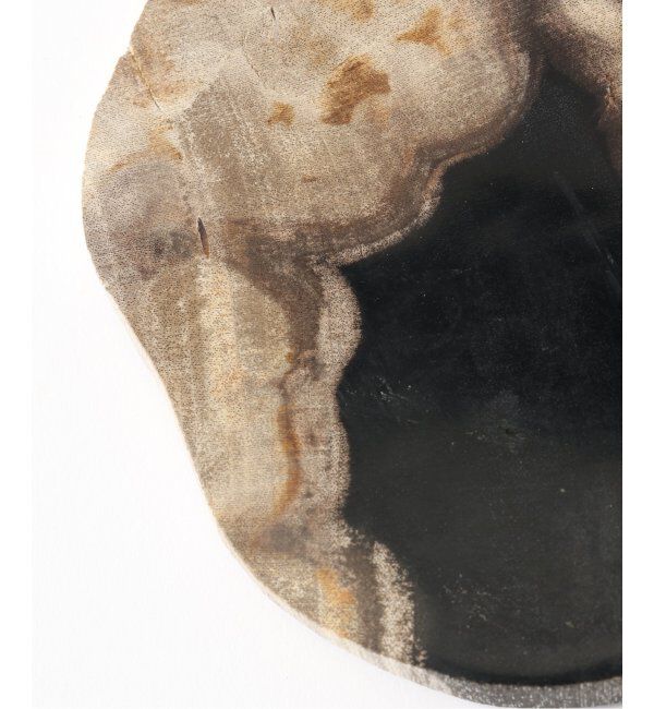 journal standard Furniture「PETRIFIED WOOD PLATE ウッドプレートS」|香水・フレグランス|
