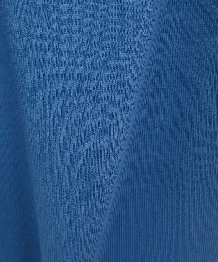 AMERICAN HOLIC「チュールキャミタンクトップ」|インナー|